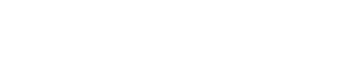 AdaptOnyx